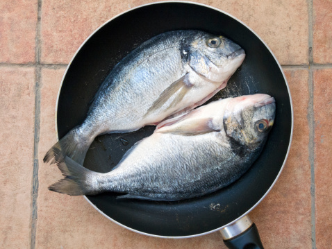 Gilthead seabream fishes (Dourada or Sparus aurata) on the pan ready for cooking