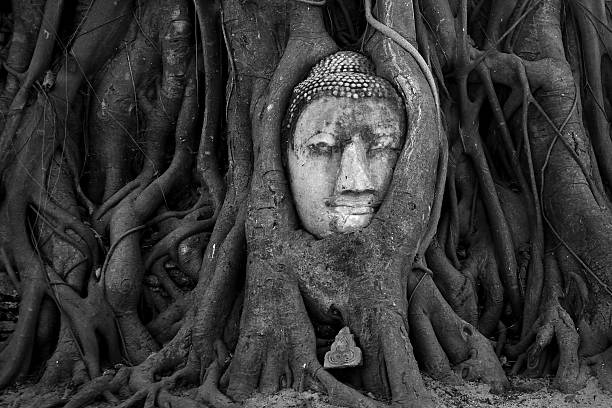 istock Head of a historical Sandstone Buddha 179024989