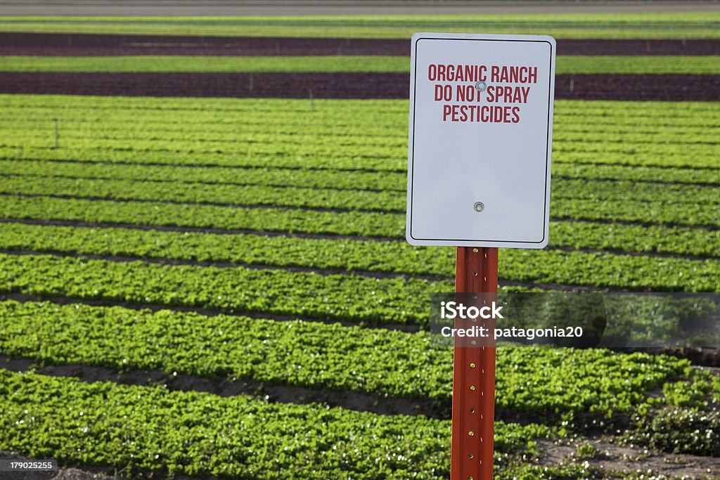 Fazenda orgânica pesticidas sinal de alerta - Foto de stock de DDT royalty-free