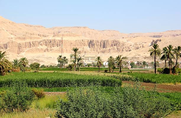 istock Mortuary Temple of Hatshepsut. 179025633