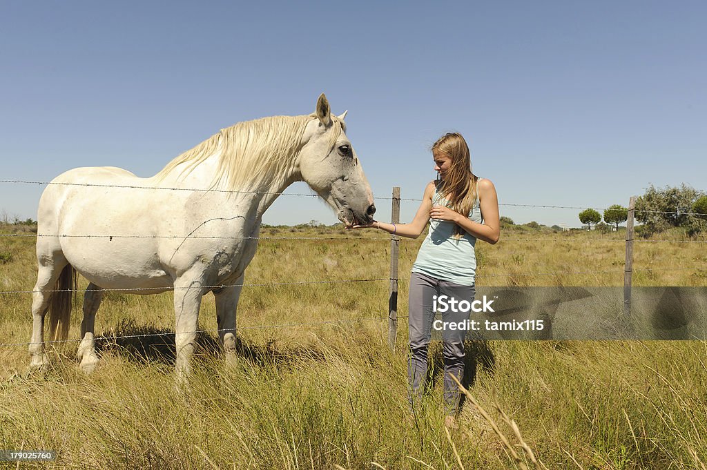 Chica Acariciar el caballo - Foto de stock de Acariciar a un animal libre de derechos