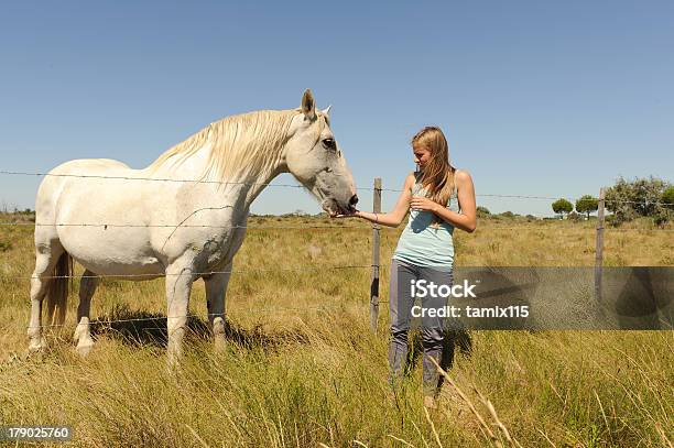 A Rapariga Acariciar Cavalo - Fotografias de stock e mais imagens de Acariciar - Acariciar, Adulto, Amor