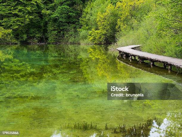 Reflexo De Floresta Com Ponte Pedonal - Fotografias de stock e mais imagens de Ao Ar Livre - Ao Ar Livre, Azul, Beleza