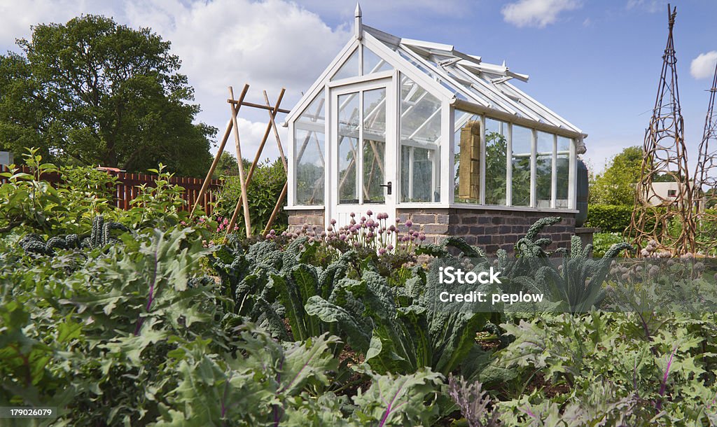Garden Greenhouse Gardeners greenhouse surrounded by a splendid vegetable plot. Greenhouse Stock Photo