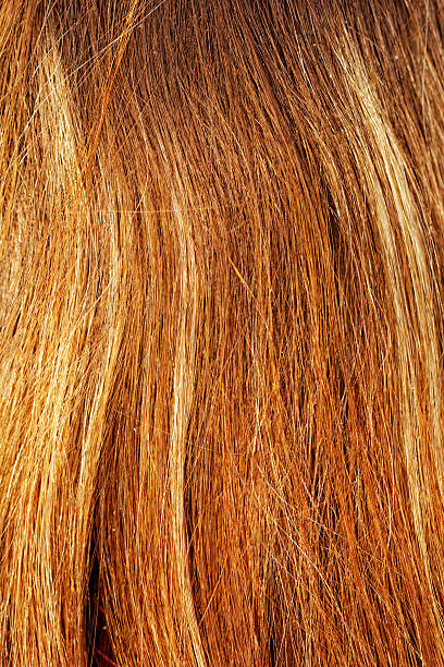 textura de cabelo - fashion shiny blond hair ringlet - fotografias e filmes do acervo