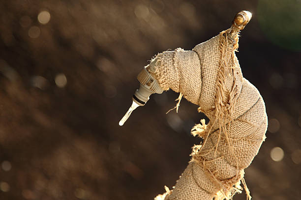 Jardín de roscar con helado gota de agua. - foto de stock