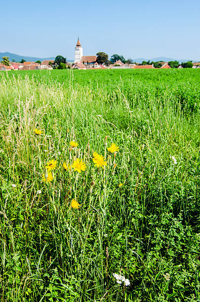 istock Landscape in Transylvania, Rotbav 179026773