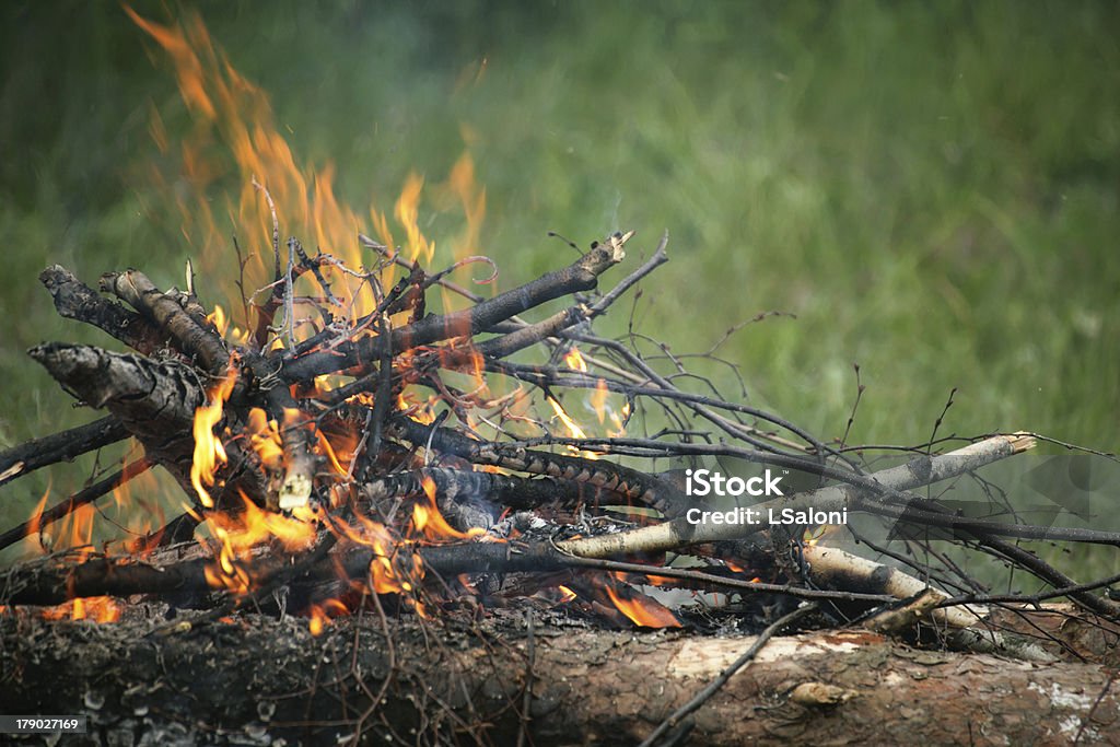 Feu feu feu de camp Forêt de l'été - Photo de Bois de chauffage libre de droits