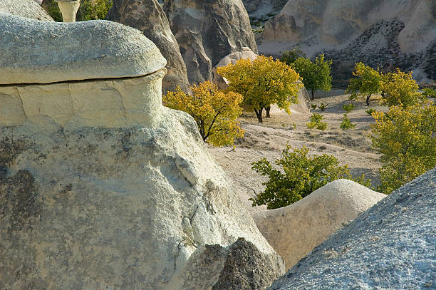 качаются возле гёреме, турция. - goreme rural scene sandstone color image стоковые фото и изображения