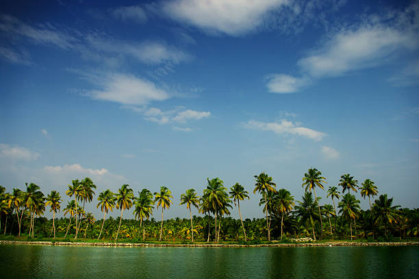 istock backwaters of Kerala 179027291