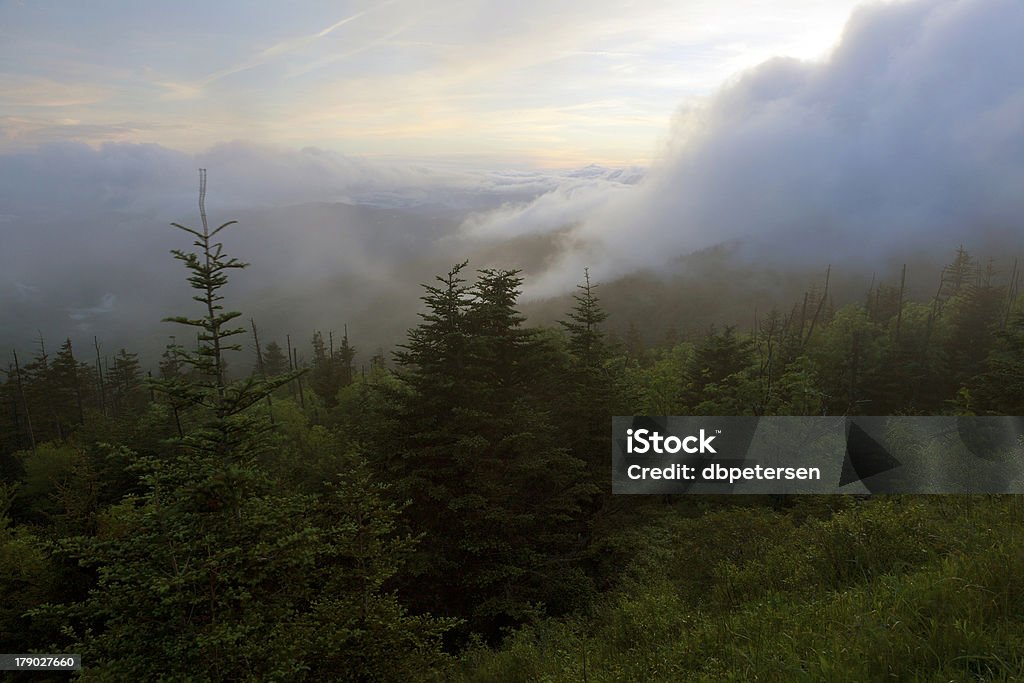 Wind geschäumten Cloud Banken in den Smoky Mountains - Lizenzfrei Berg Clingman's Dome Stock-Foto