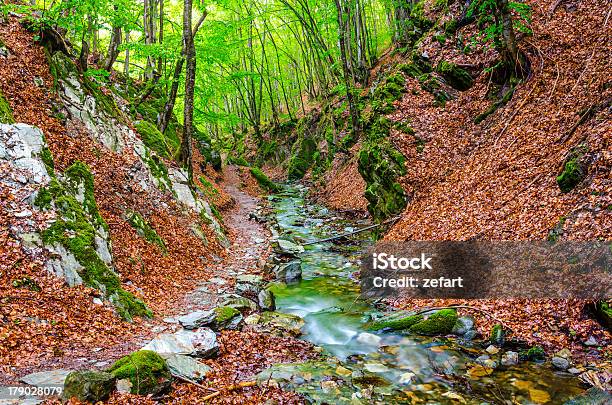 Hermosa Naturaleza Composición De La Selva Tropical Corriente Macedonia Foto de stock y más banco de imágenes de Agua