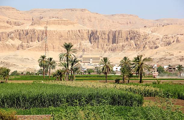 istock Mortuary Temple of Hatshepsut. 179028352