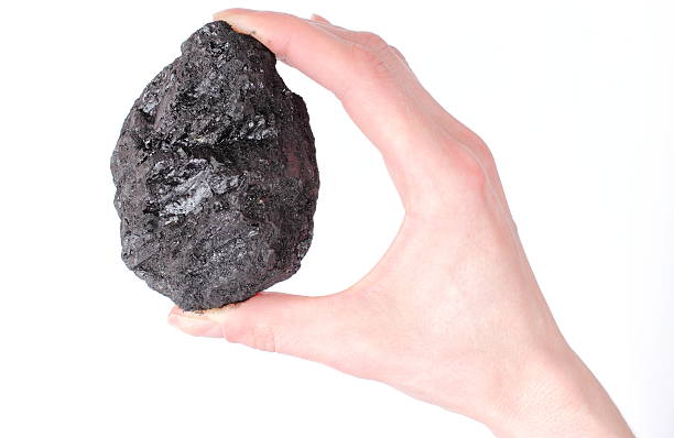 istock Woman's hand holding coal lump on white background 179029167