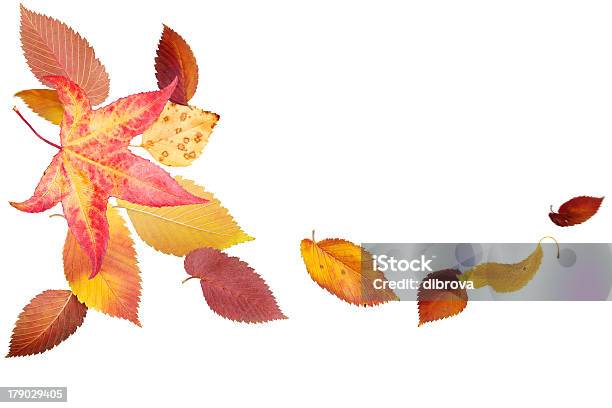 Autumn Leaves Stock Photo - Download Image Now - Abstract, Autumn, Beauty In Nature