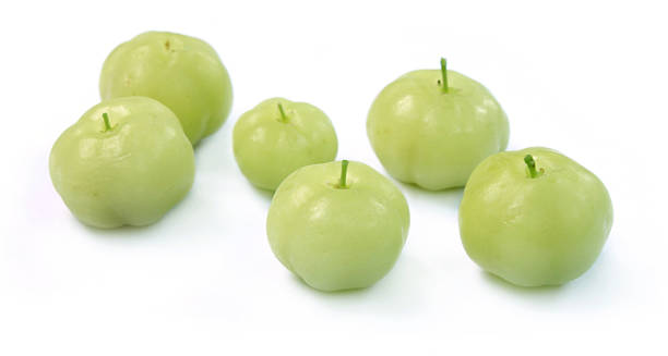 istock Phyllanthus acidus or Orboroi fruit 179030253