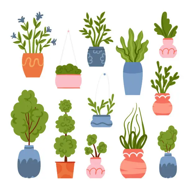 Vector illustration of Set of different potted plants and trees