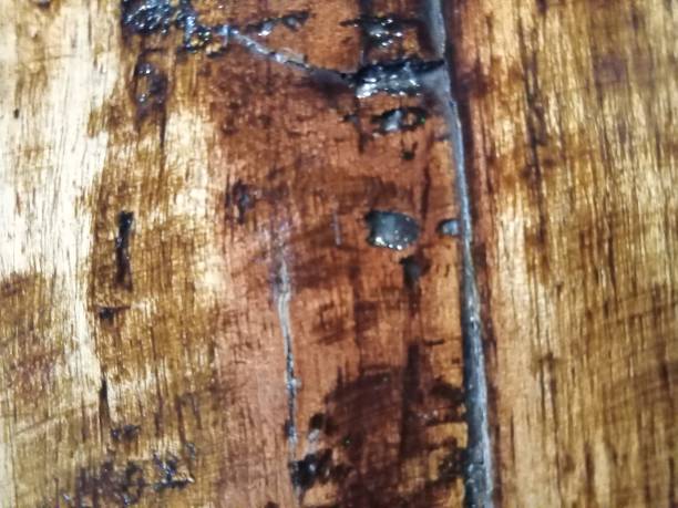 istock very aesthetic wood texture 1790305357
