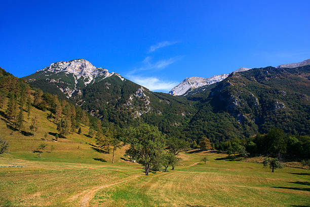 istock Tolminska Migovec, Slovenia 179030545