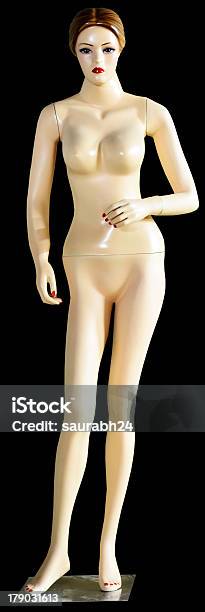 Female Model Mannequin Stock Photo - Download Image Now - Adult, Anatomy, Business