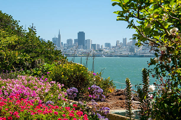 istock Romantic View of San Francisco downtown from Alcatraz 179032338