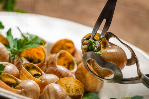 Closeup of eating the fried snails with garlic butter.