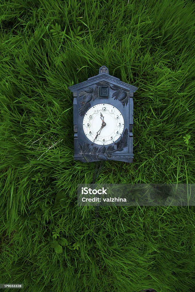 Radziecki retro zegar na trawie - Zbiór zdjęć royalty-free (Były Związek Radziecki)