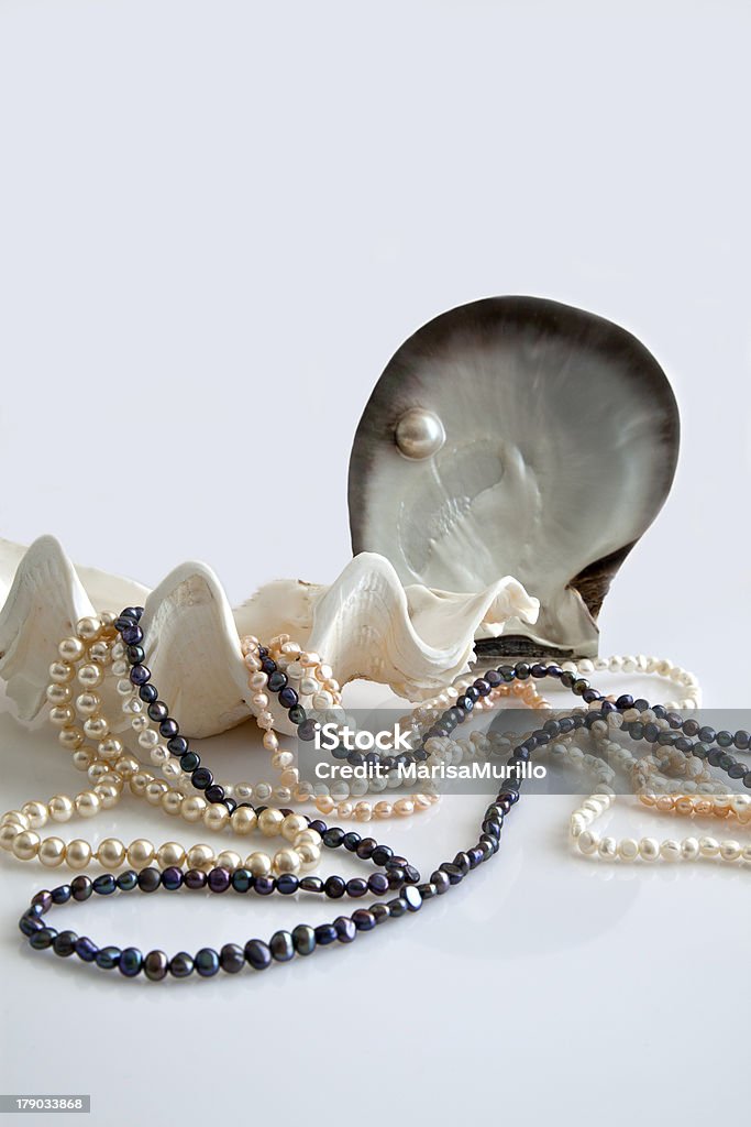 Shells i pearls. - Zbiór zdjęć royalty-free (Bez ludzi)