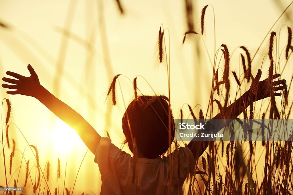 Young boy with arms spread in a harvest field Kid at wheat field Active Lifestyle Stock Photo