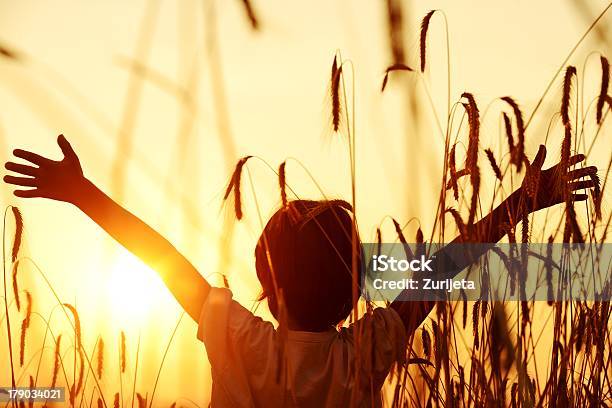 Young Boy With Arms Spread In A Harvest Field Stock Photo - Download Image Now - Active Lifestyle, Agricultural Field, Arms Outstretched