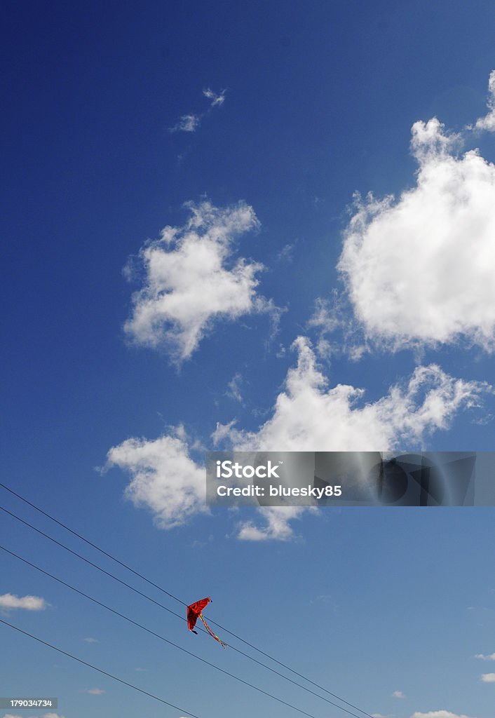 Et ciel bleu de cerf-volant - Photo de Aile d'animal libre de droits