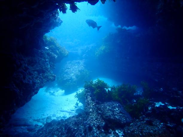istock Ocean cave Rottnest Island Western Australia 1790352267