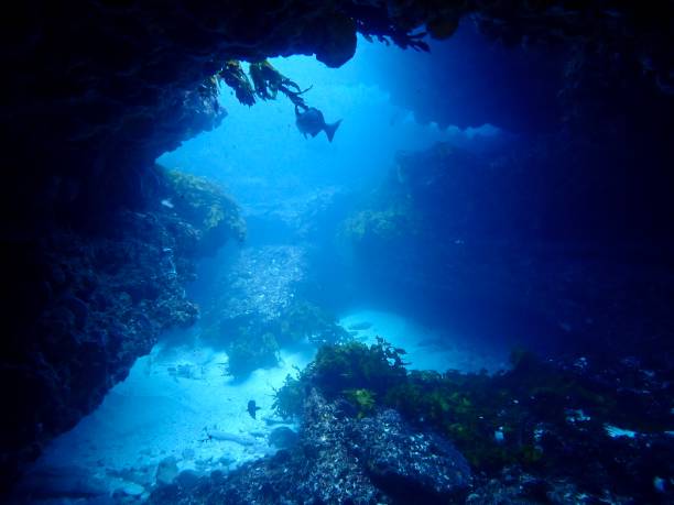 istock Ocean cave Rottnest Island Western Australia 1790352793