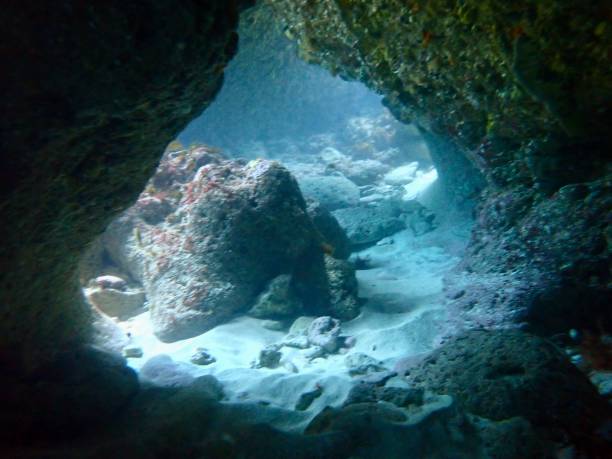 istock Ocean cave Rottnest Island Western Australia 1790353360