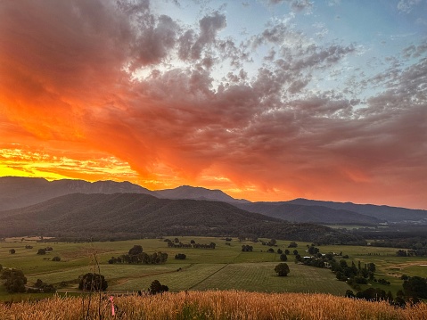 Panoramic photo of setting sun over the forest. Trees are seen as silhouettes and sunset sky is in vibrant red. Clouds have different tones of red to orange.