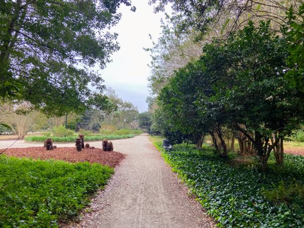 istock Hampton Park in Charleston, South Carolina 1790355493