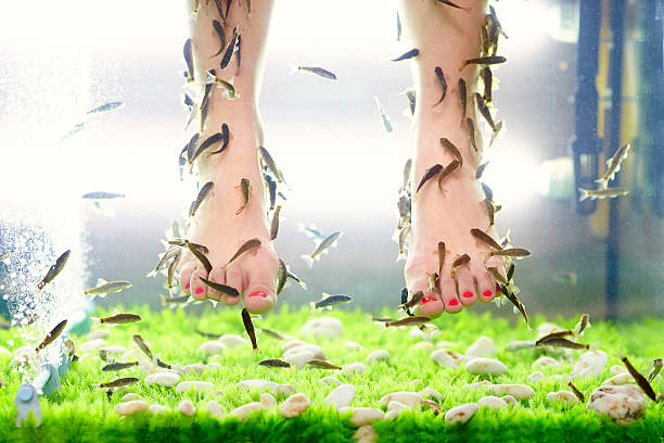 istock fish pedicure spa treatment, rufa garra 179035649