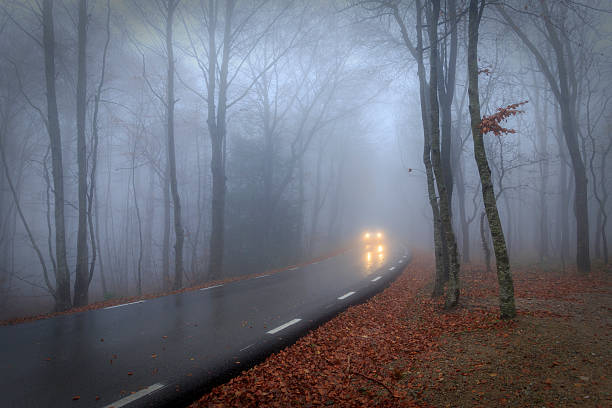 istock Lights in the fog 179035858