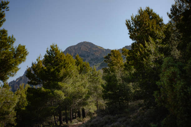 Views of  Cabeçó d'Or mountain summit from the base of the walk stock photo