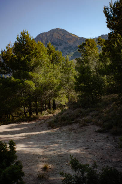 Views of  Cabeçó d'Or mountain summit from the base of the walk stock photo