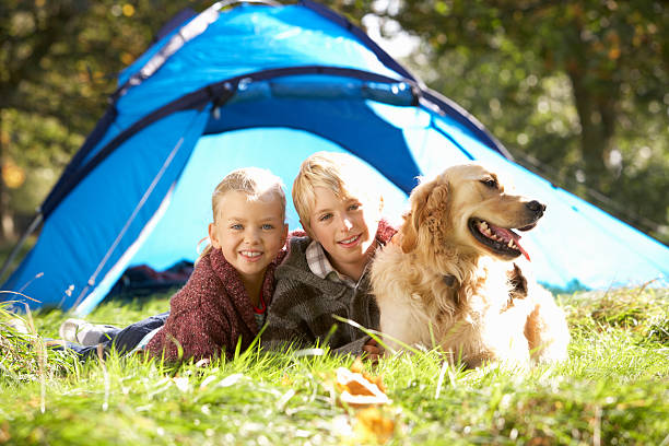 istock Young children pose outside of tent 179036741