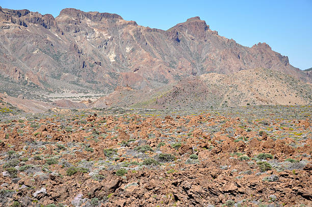 istock The Canadas of the Teide range 179036923