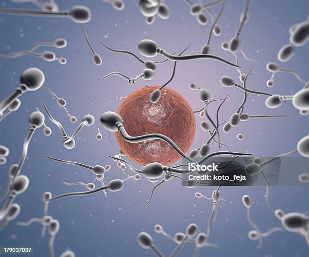 Spermatozoi E Cellula - Fotografie stock e altre immagini di Accoppiamento - Accoppiamento, Anatomia umana, Biologia