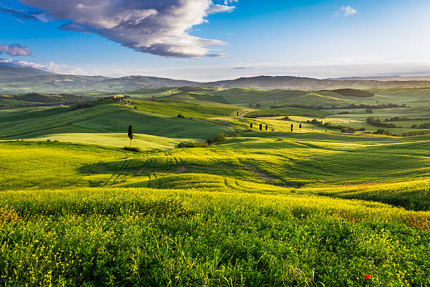istock Green valley and mountains at sunset in Tuscany 179037163