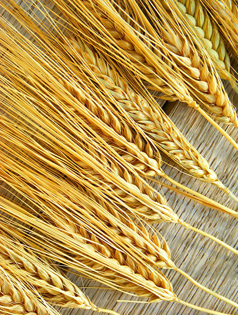 Wheat on the wood background stock photo