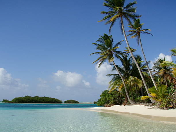 istock Palm Studded Beach in San Blas Islands 179038712