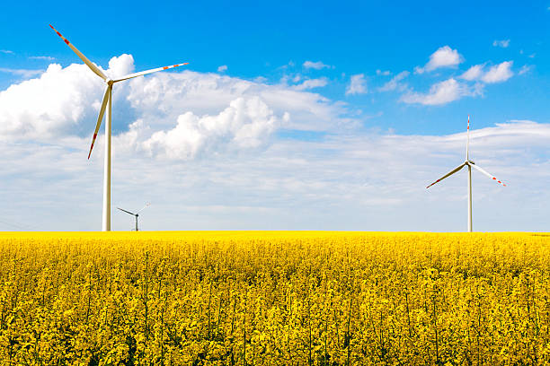 istock wind mill turbines farm landscape rape 179038902