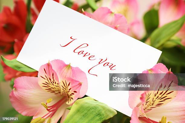 Tarjeta En Flores Con Amor Palabras Foto de stock y más banco de imágenes de Amor - Sentimiento - Amor - Sentimiento, Belleza de la naturaleza, Blanco - Color