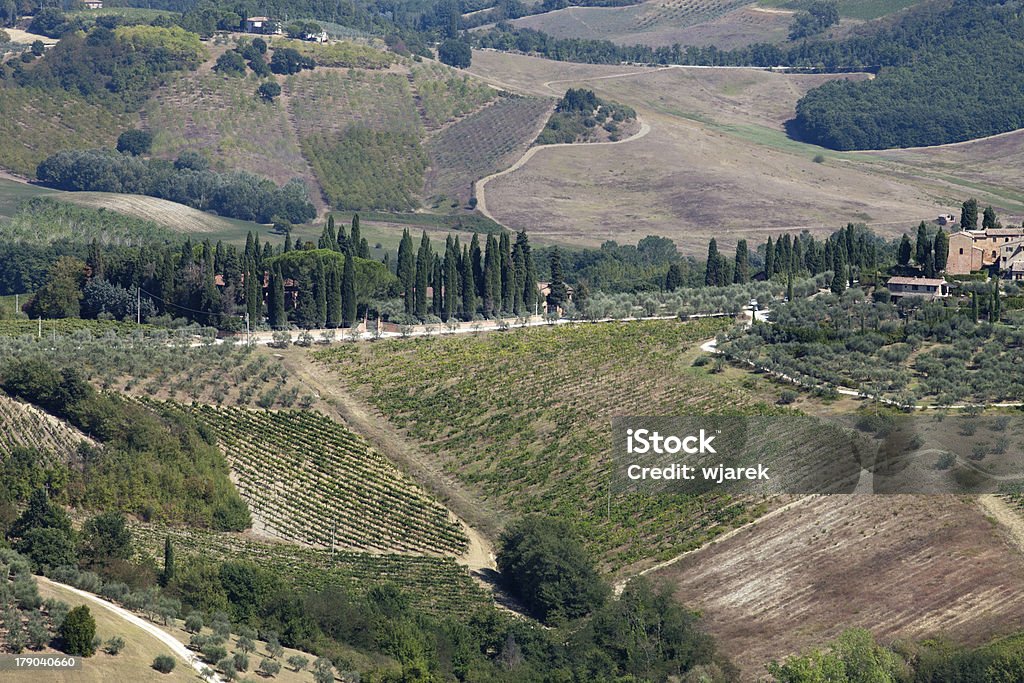 Hills in San Gimignano - Lizenzfrei Agrarbetrieb Stock-Foto