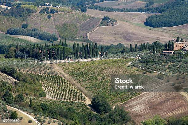 Hills In San Gimignano Stockfoto und mehr Bilder von Agrarbetrieb - Agrarbetrieb, Anhöhe, Chianti-Region